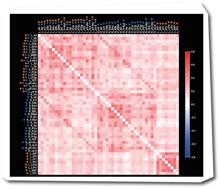 Figure 2. Correlation matrix measuring the extent of functional connectivity between sites within left DLPFC (blue dots) and left IPS (red dots). correlation; blue indicates negative correlation.